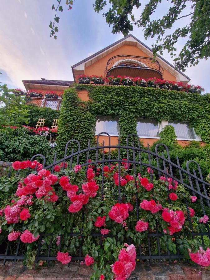 Villa Victoria Łeba Extérieur photo