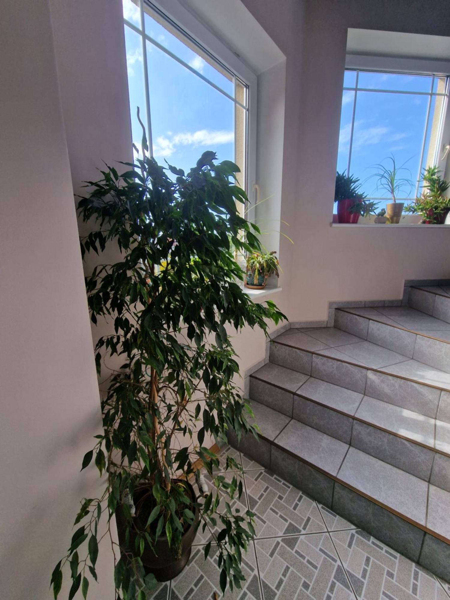 Villa Victoria Łeba Extérieur photo